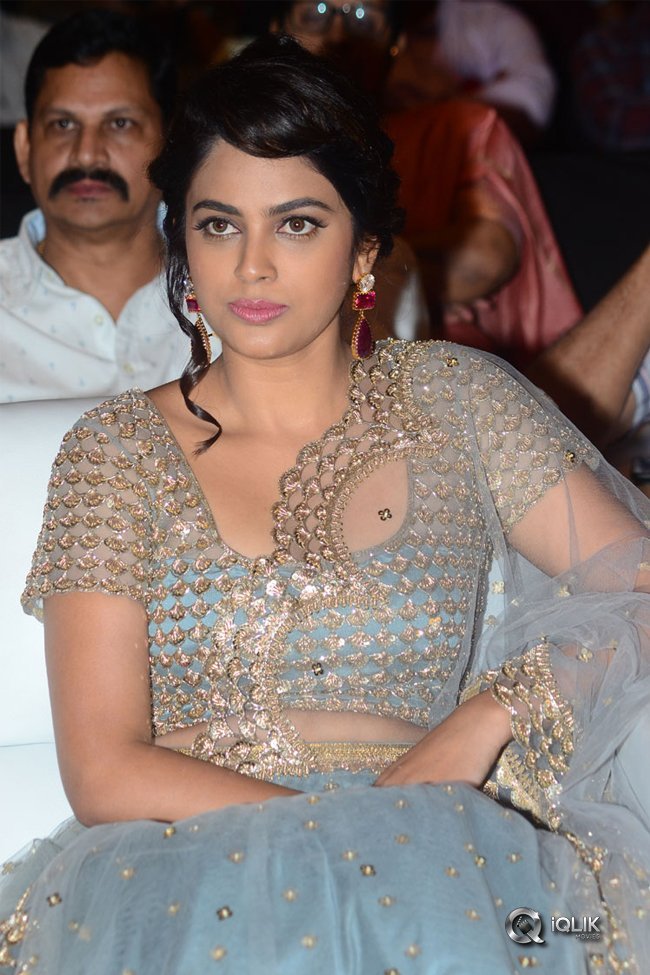 Srinivasa-Kalyanam-Movie-Success-Meet